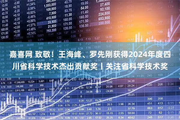 嘉喜网 致敬！王海峰、罗先刚获得2024年度四川省科学技术杰出贡献奖丨关注省科学技术奖