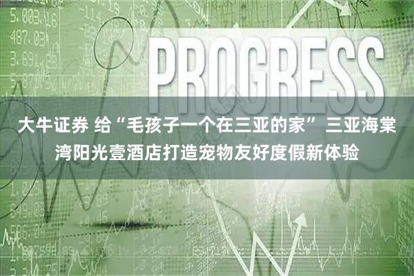 大牛证券 给“毛孩子一个在三亚的家” 三亚海棠湾阳光壹酒店打造宠物友好度假新体验