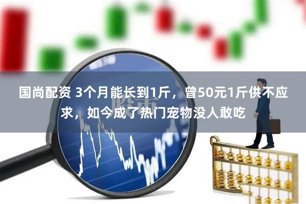 国尚配资 3个月能长到1斤，曾50元1斤供不应求，如今成了热门宠物没人敢吃