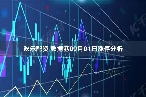 欢乐配资 数据港09月01日涨停分析