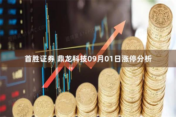 首胜证券 鼎龙科技09月01日涨停分析