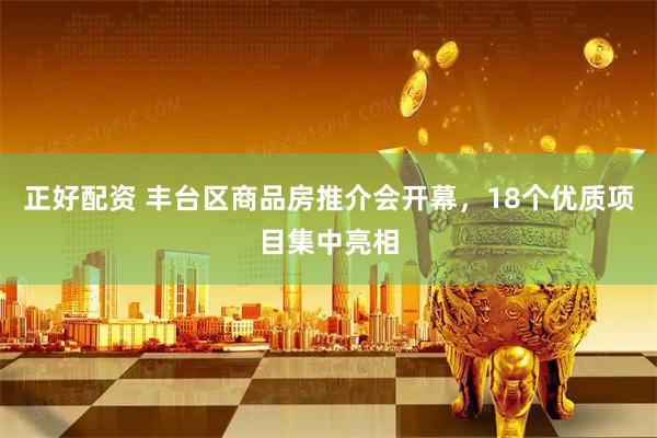 正好配资 丰台区商品房推介会开幕，18个优质项目集中亮相