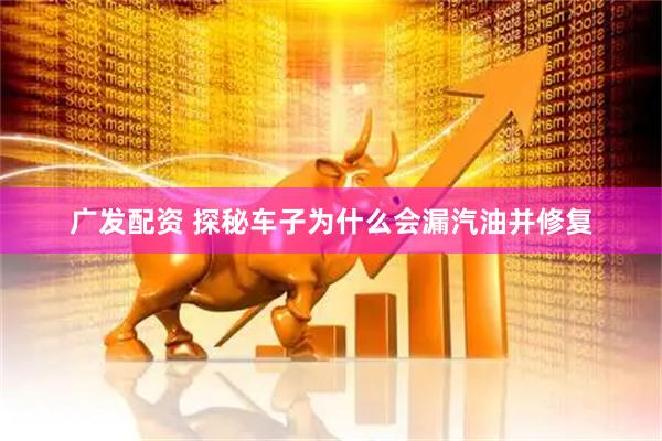 广发配资 探秘车子为什么会漏汽油并修复
